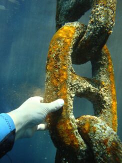 NSD LTD | UnderWater Services