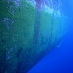 Hull Cleaning Before | NSD LTD