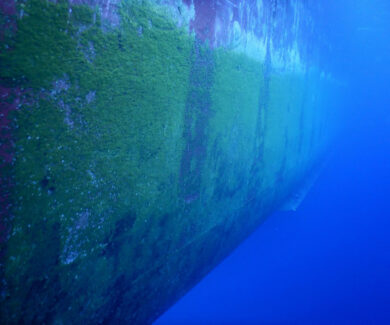 Hull Cleaning Before | NSD LTD