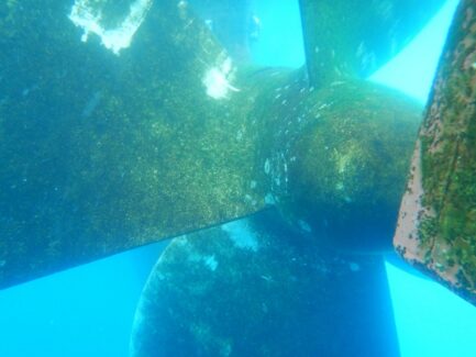 Propeller Polishing Before | NSD LTD