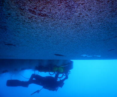 Hull Cleaning | NSD LTD