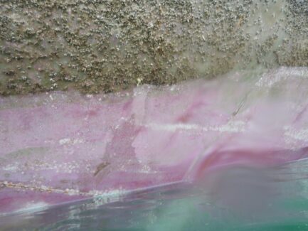 Hull Cleaning | NSD LTD