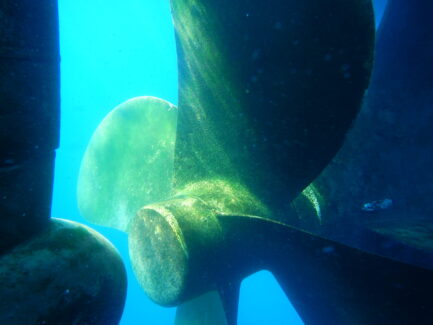 Propeller Polishing Before | NSD LTD