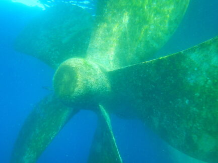 Propeller Polishing Before | NSD LTD