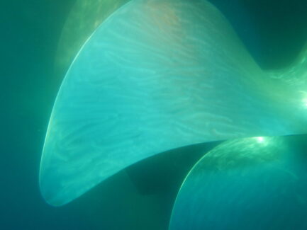 Propeller Polishing After | NSD LTD