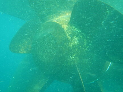 Propeller Polishing Before | NSD LTD