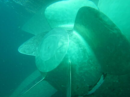 Propeller Polishing After | NSD LTD