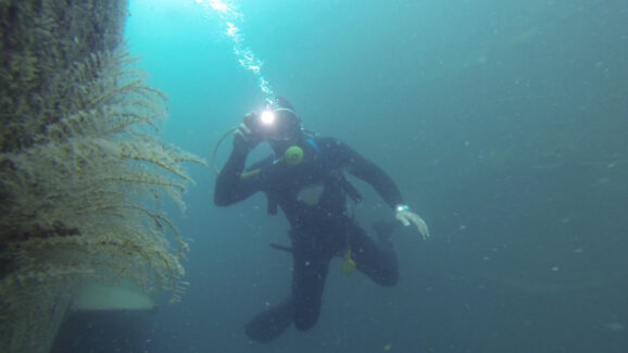 Inspections & Measurements | NSD LTD