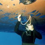 Inspections & Measurements | NSD LTD