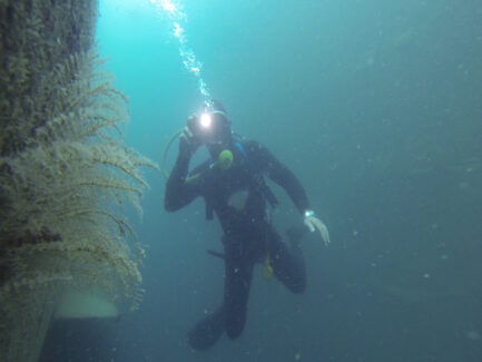 Inspections & Measurements | NSD LTD