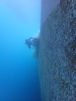 Hull Cleaning | NSD LTD