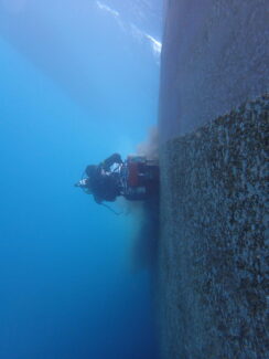 Hull Cleaning | NSD LTD