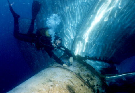 Propeller Polishing | NSD LTD