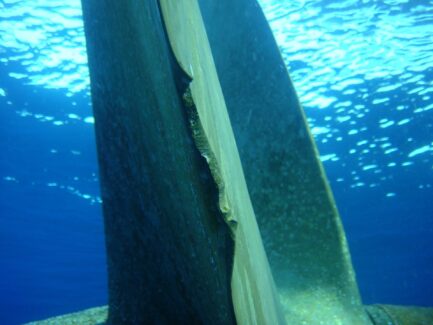 Propeller & Ropeguards | NSD LTD