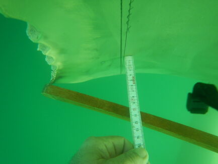 Propeller & Ropeguards | NSD LTD