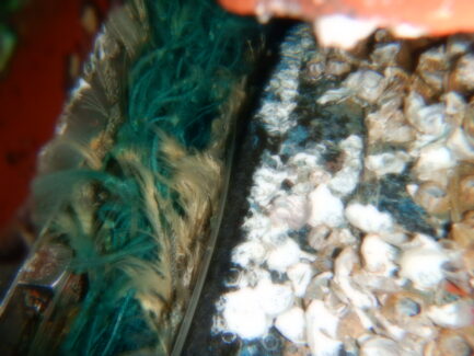 Propeller & Ropeguards | NSD LTD