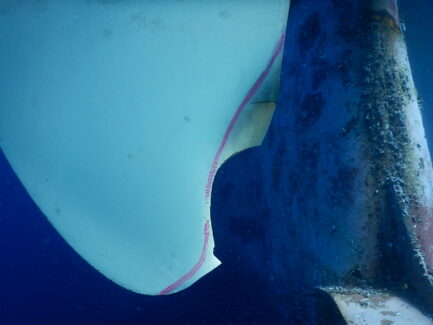 Propeller & Ropeguards | NSD LTD