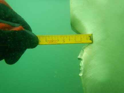 Propeller & Ropeguards | NSD LTD