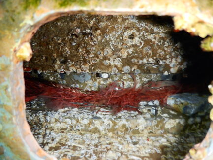 Propeller & Ropeguards | NSD LTD