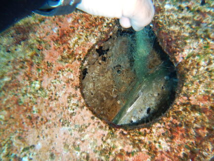 Propeller & Ropeguards | NSD LTD