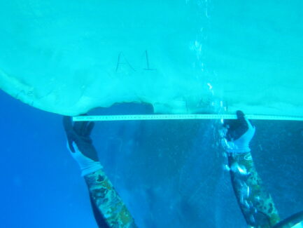 Propeller & Ropeguards | NSD LTD