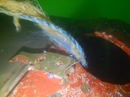 Propeller & Ropeguards | NSD LTD