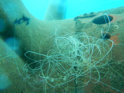 Propeller & Ropeguards | NSD LTD