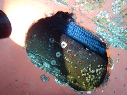 Propeller & Ropeguards | NSD LTD