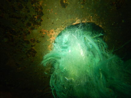 Propeller & Ropeguards | NSD LTD