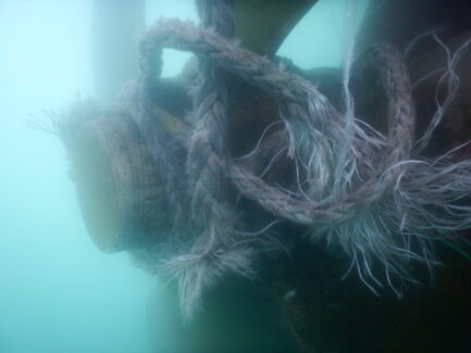 Propeller & Ropeguards | NSD LTD