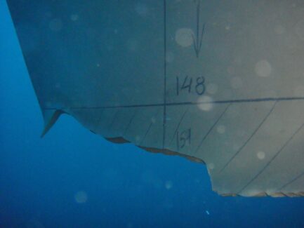 Propeller & Ropeguards | NSD LTD