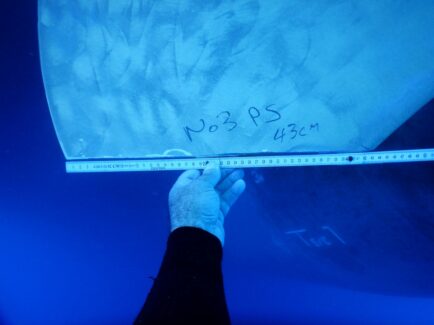 Propeller & Ropeguards