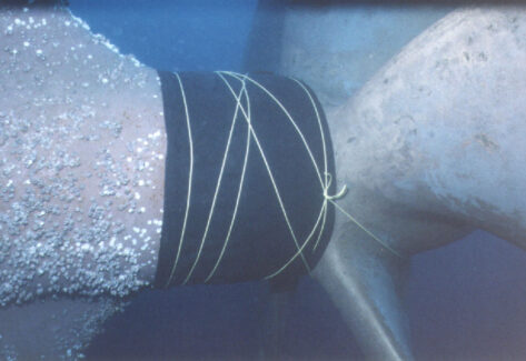 Propeller & Ropeguards | NSD LTD