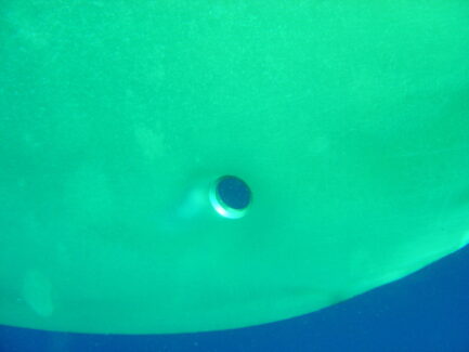 Propeller & Ropeguards | NSD LTD