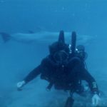 NSD LTD | UnderWater Services