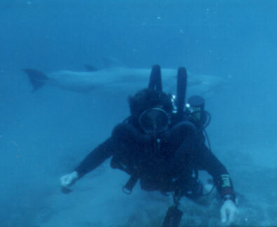 NSD LTD | UnderWater Services