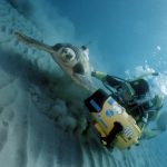 NSD LTD | UnderWater Services