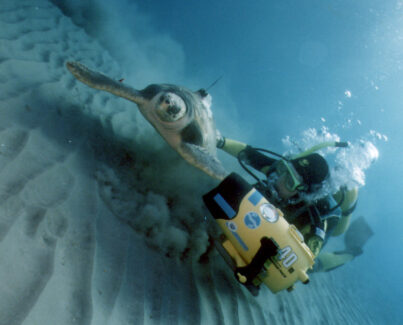 NSD LTD | UnderWater Services