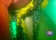 Underwater diving services