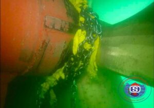 diving status