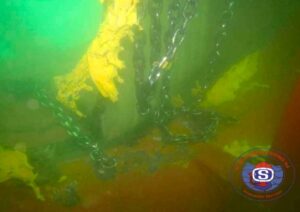 sea marine and diving services