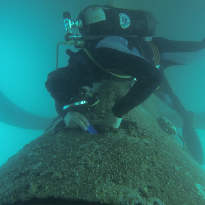 DCIM100GOPRO